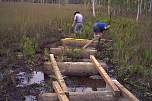 hardwood bedlogs 2 nashville lagoon.jpg